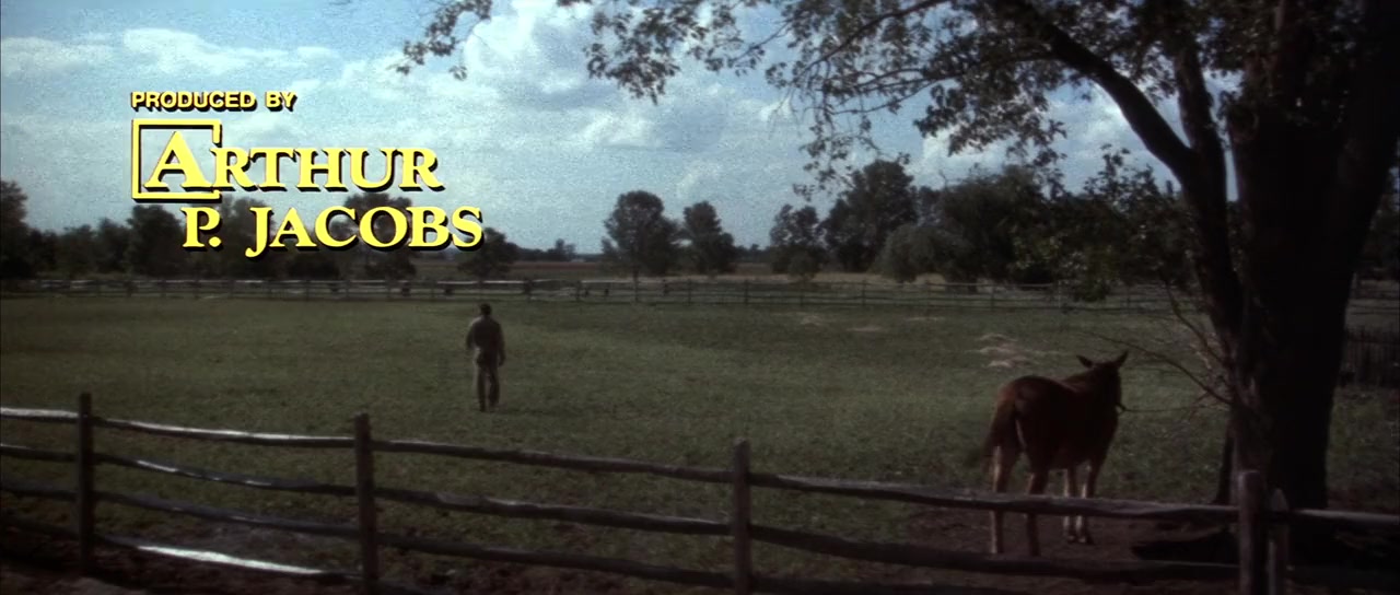 Huckleberry Finn screenshot 3