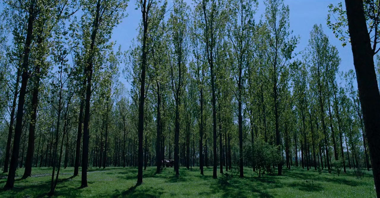 Hukkle screenshot 1