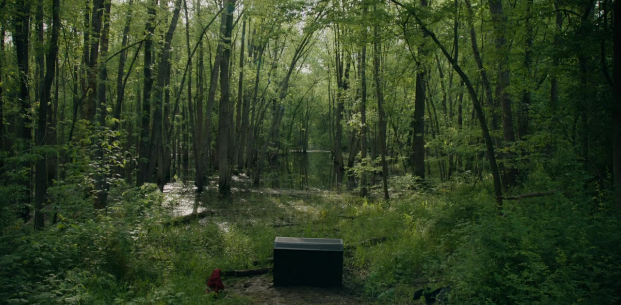 Hum screenshot 3