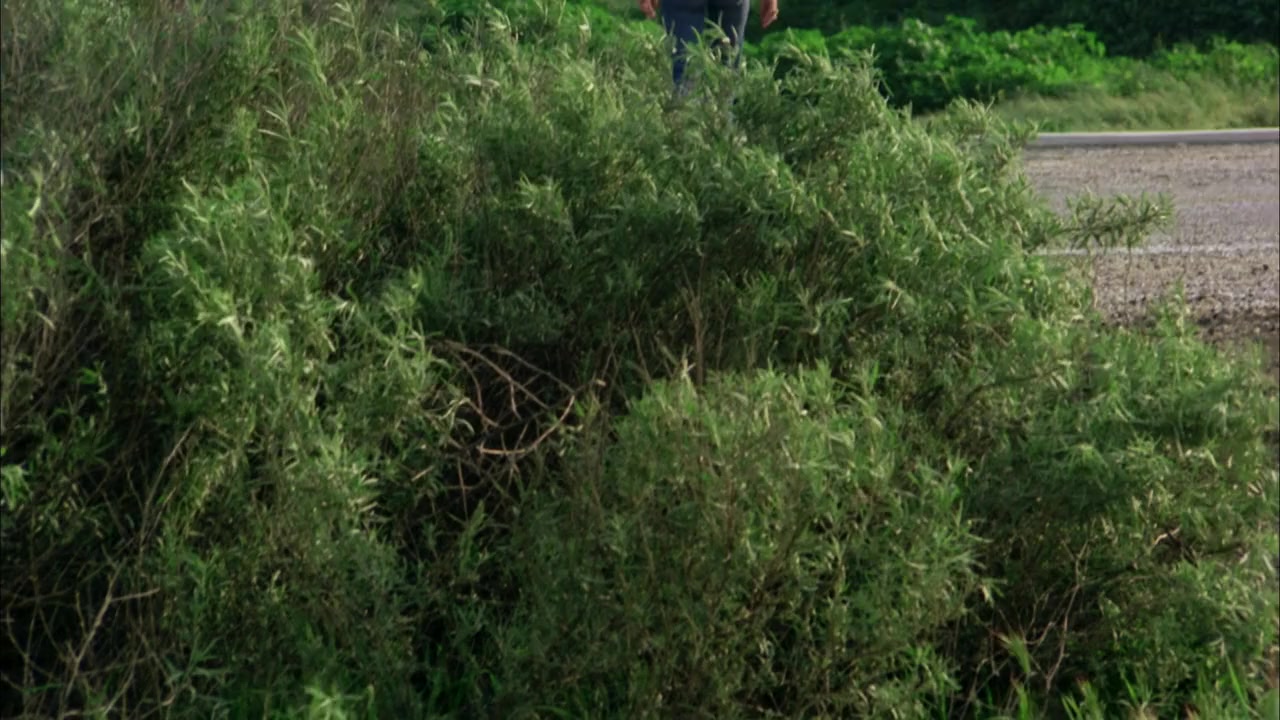 Human Experiments screenshot 2