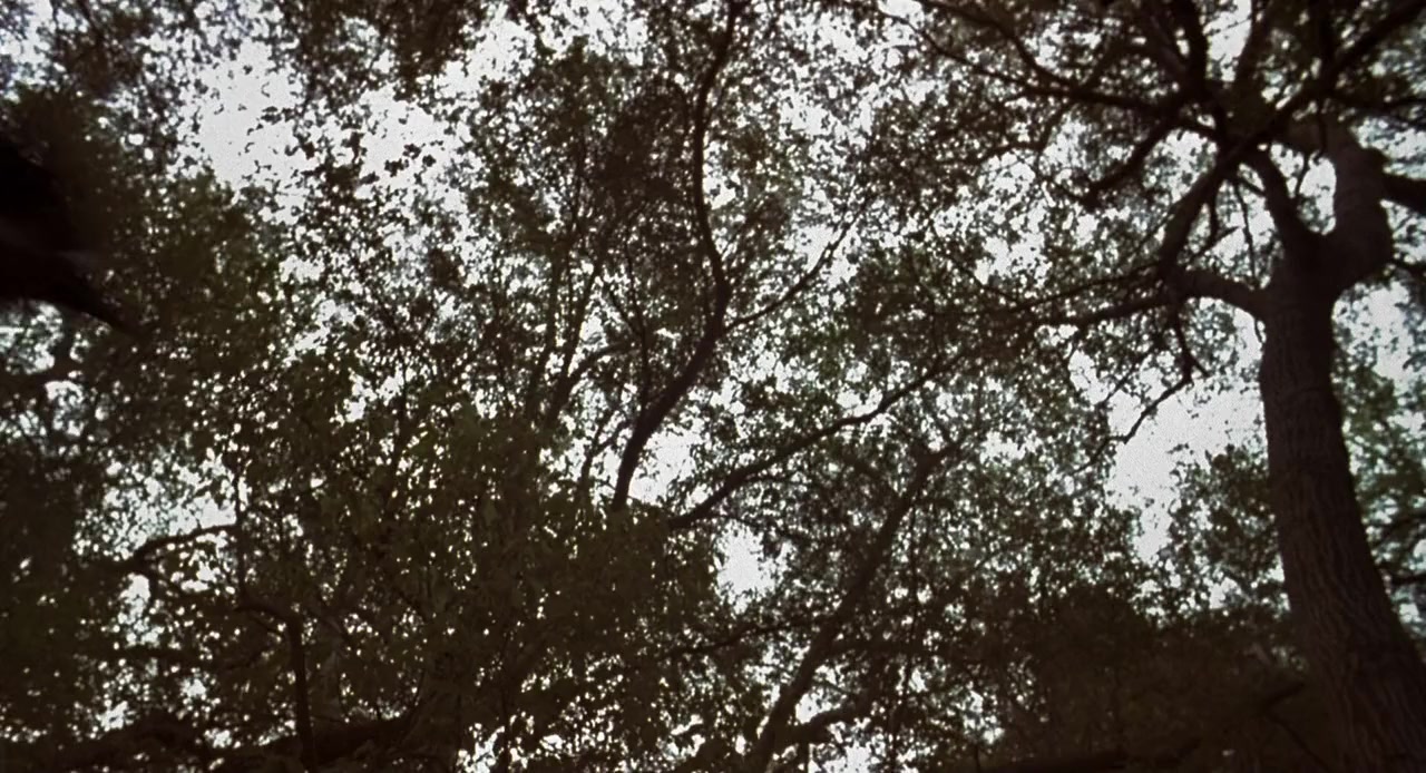 Human Nature screenshot 1