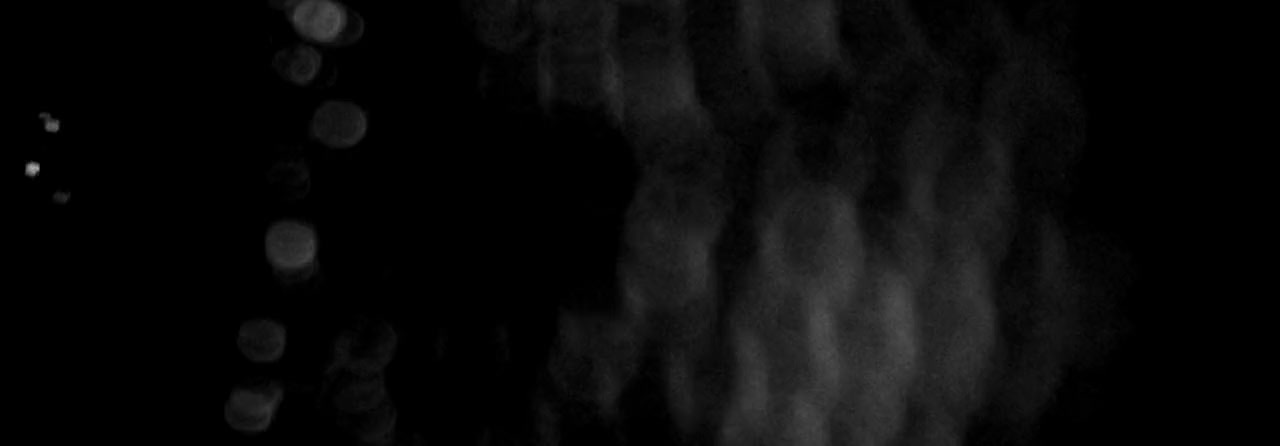 Hunger screenshot 2