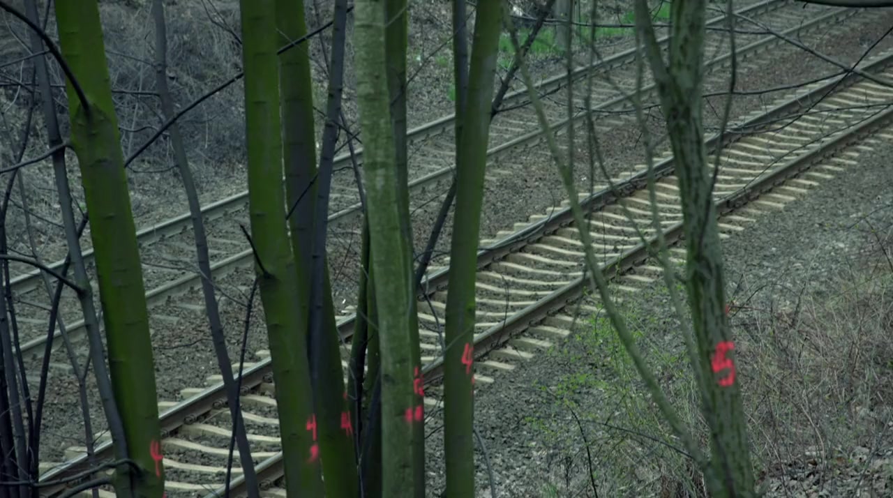 Hunting the Nazi Gold Train screenshot 1