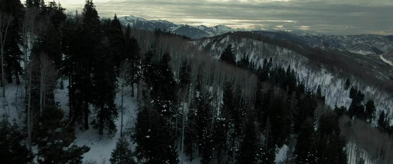 Hunting Ava Bravo screenshot 2