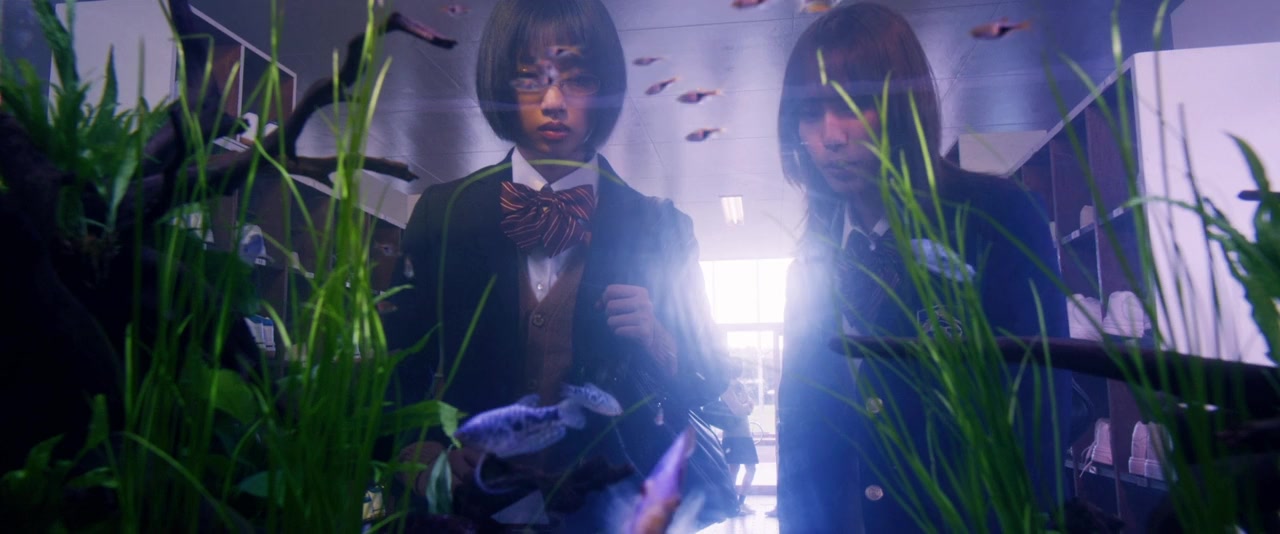 Joshikousei ni Korosaretai screenshot 3