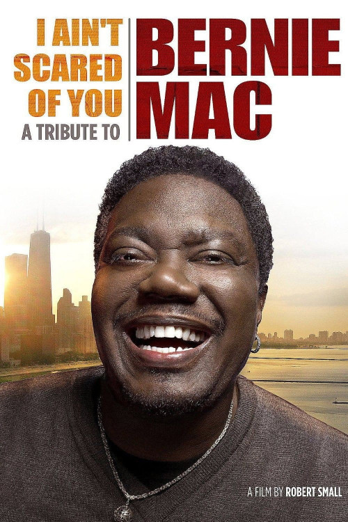 I Ain't Scared of You: A Tribute to Bernie Mac (2011) poster