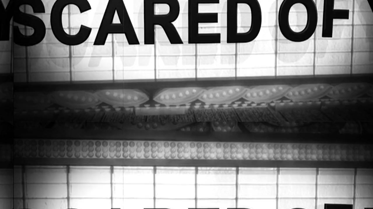 I Ain't Scared of You: A Tribute to Bernie Mac screenshot 1