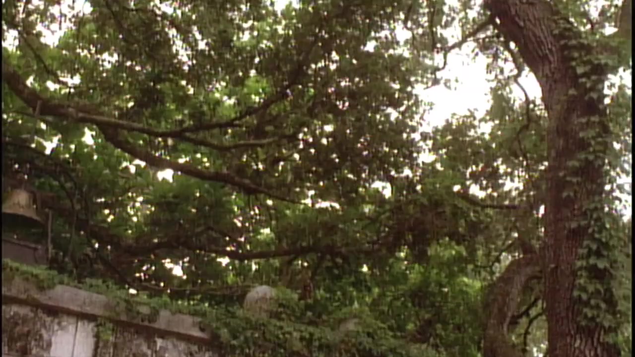 I Am screenshot 3