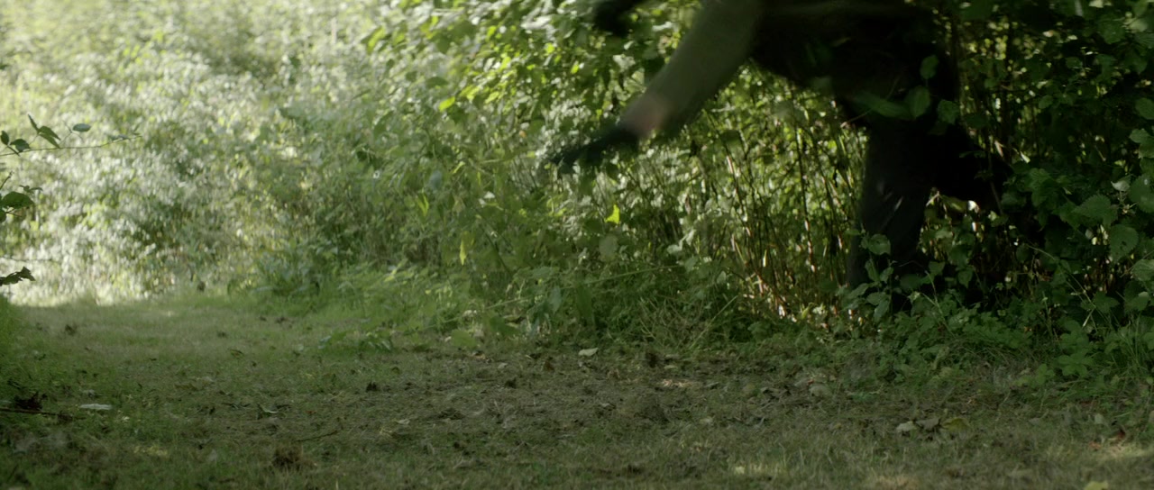 Vengeance screenshot 1
