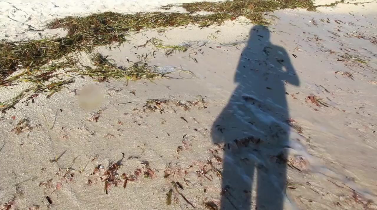 I Am Another You screenshot 1