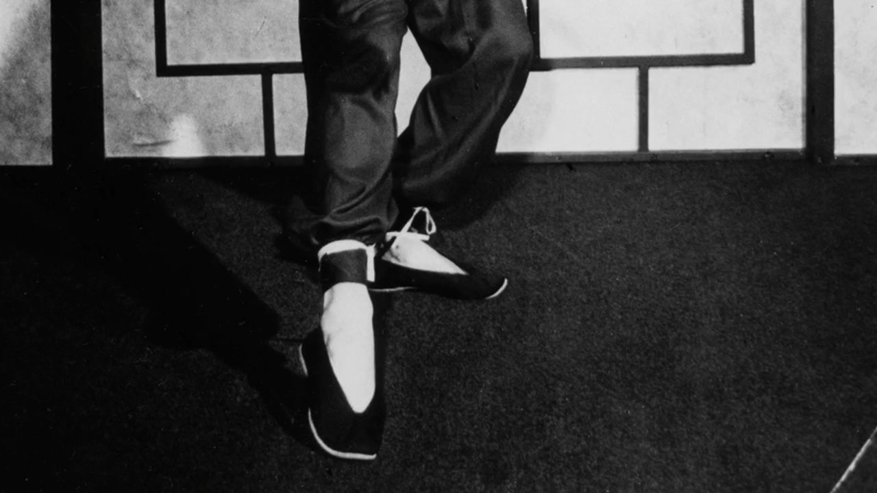 I Am Bruce Lee screenshot 2