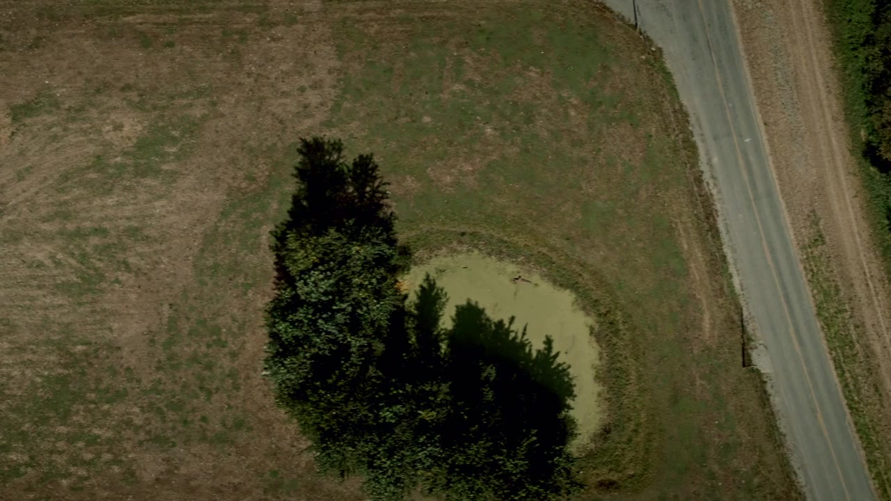 I Am DB Cooper screenshot 1