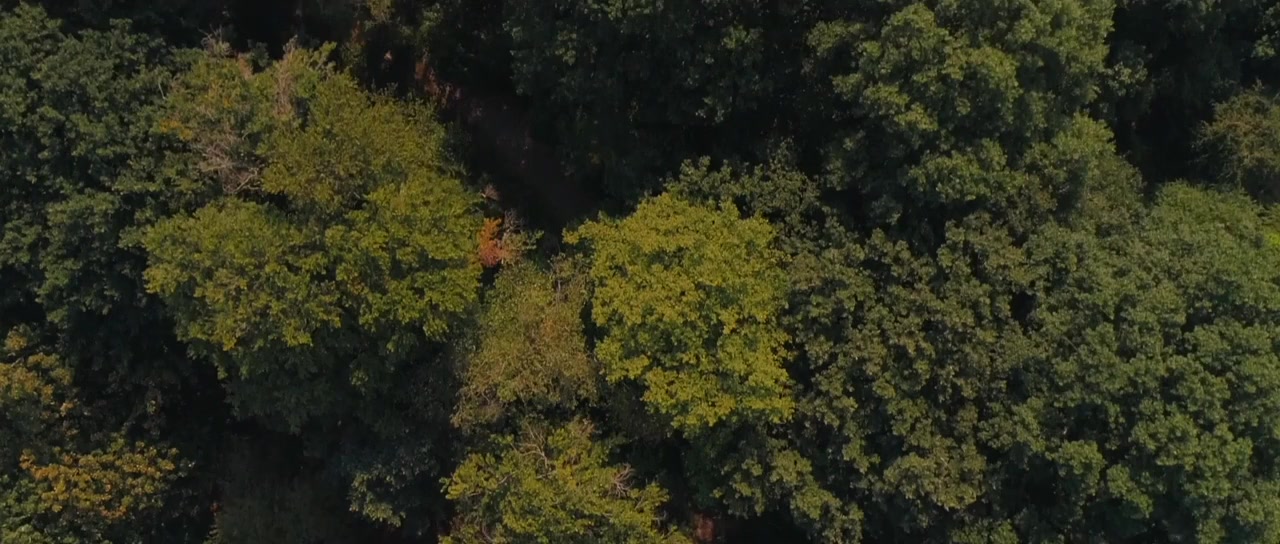 I AM Norman screenshot 1