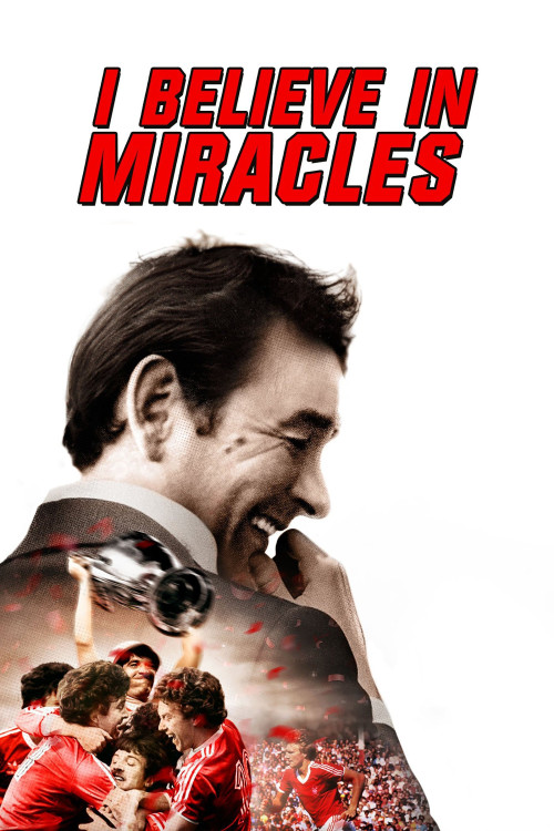 I Believe in Miracles (2015) poster