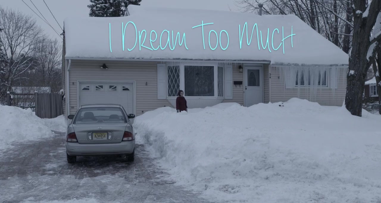 I Dream Too Much screenshot 2
