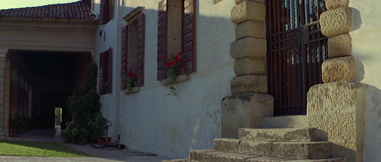 I Dreamed of Africa screenshot 1