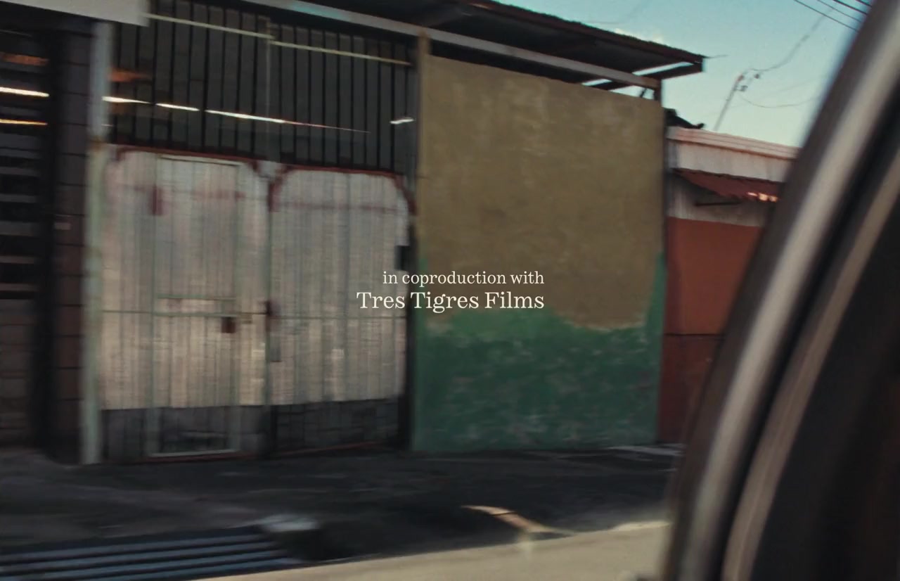 Tengo sueños eléctricos screenshot 3