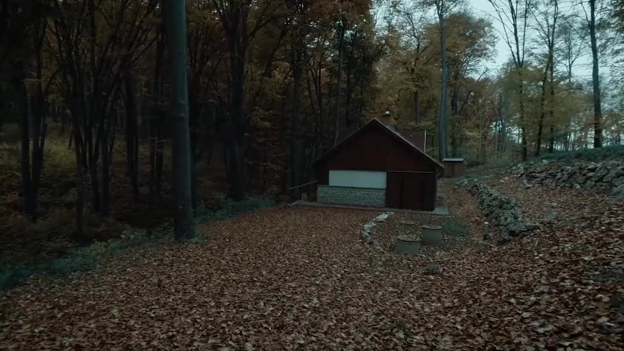 I Hear the Trees Whispering screenshot 1