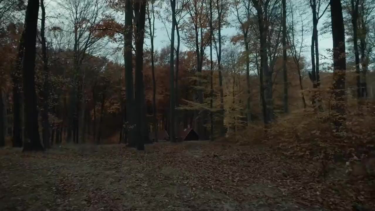 I Hear the Trees Whispering screenshot 3