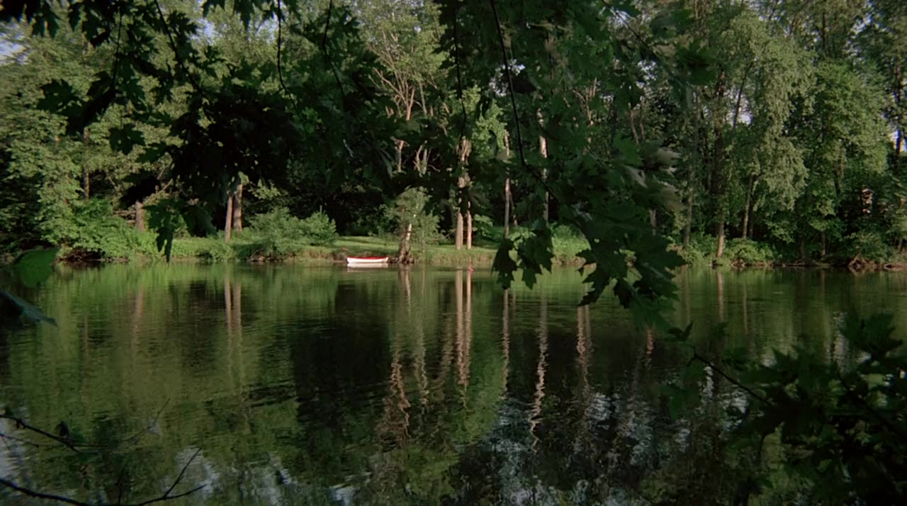 Day of the Woman screenshot 3