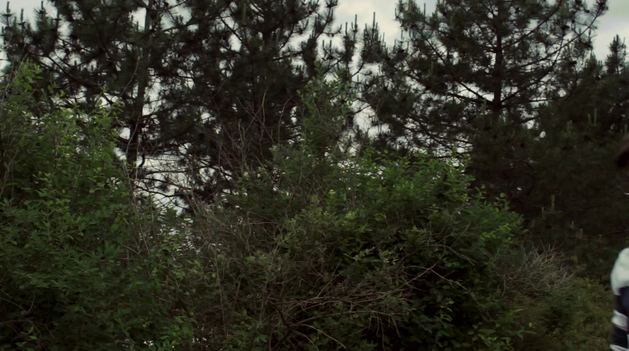 Interment screenshot 2