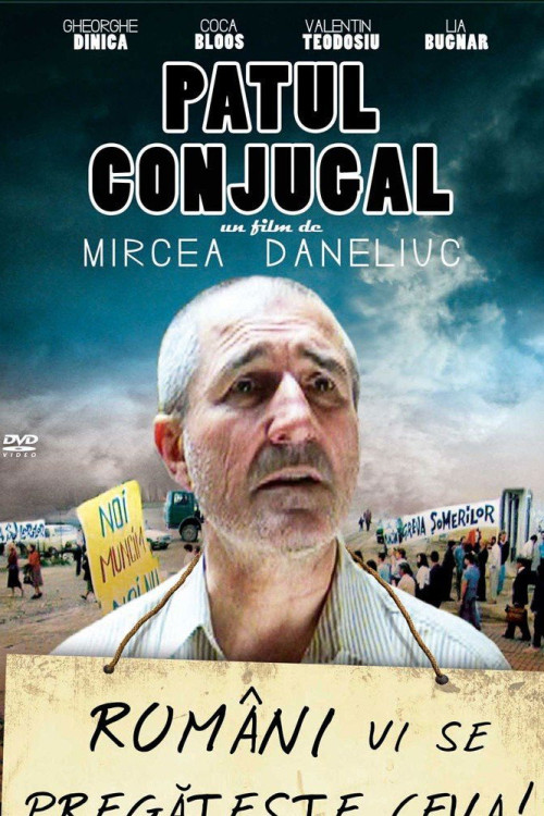 Patul conjugal (1993) poster