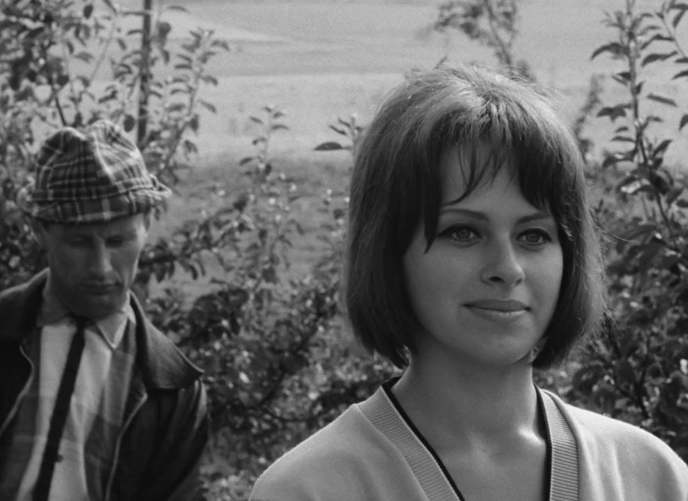 Intimní osvetlení screenshot 3