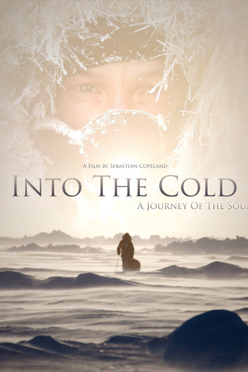 Into the Cold: A Journey of the Soul (2010) poster