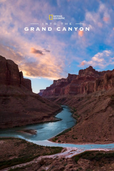 Into the Canyon (2019) poster