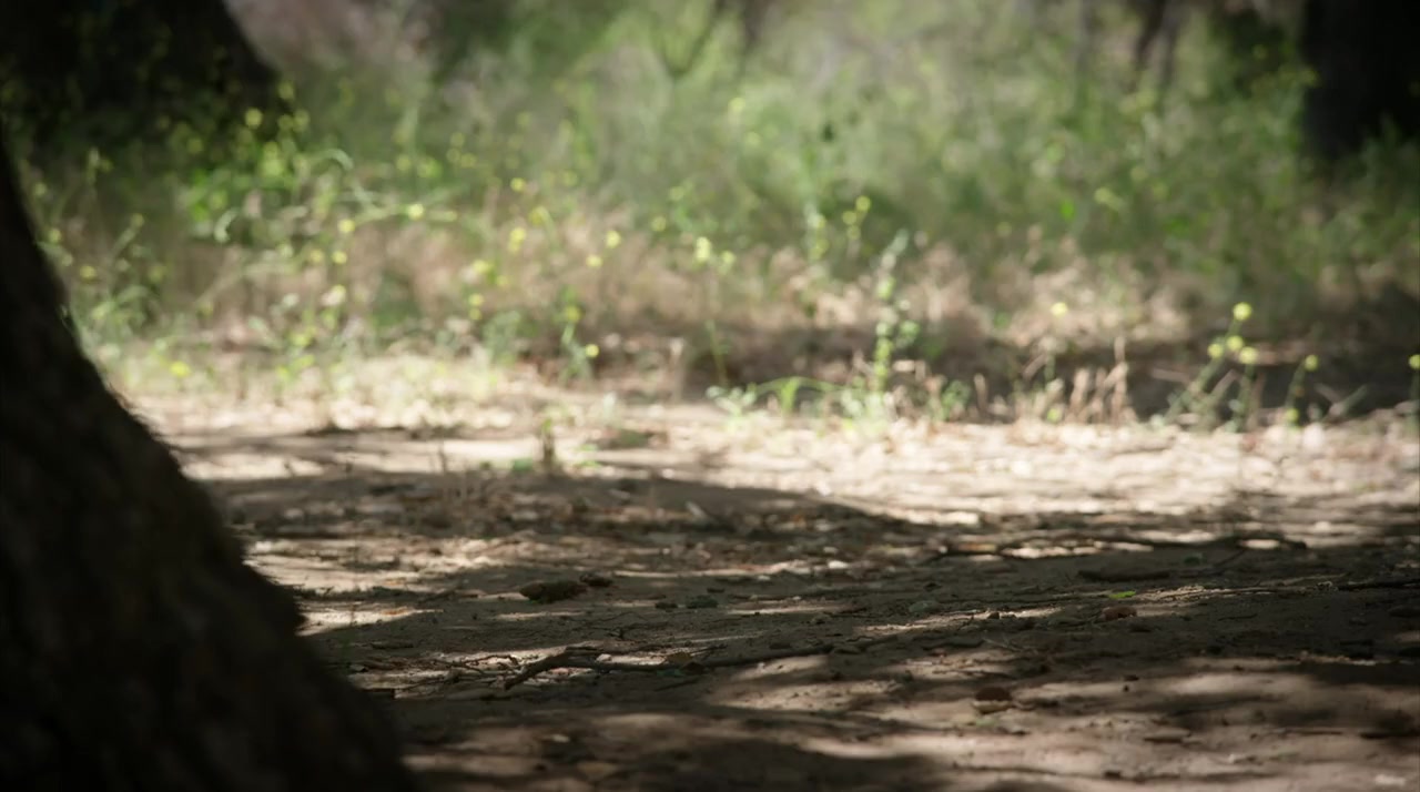 Into the Arms of Danger screenshot 3