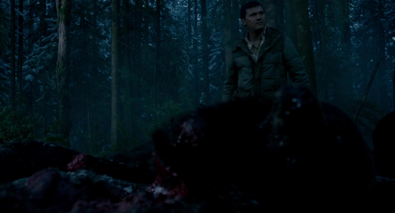 Into the Grizzly Maze screenshot 3