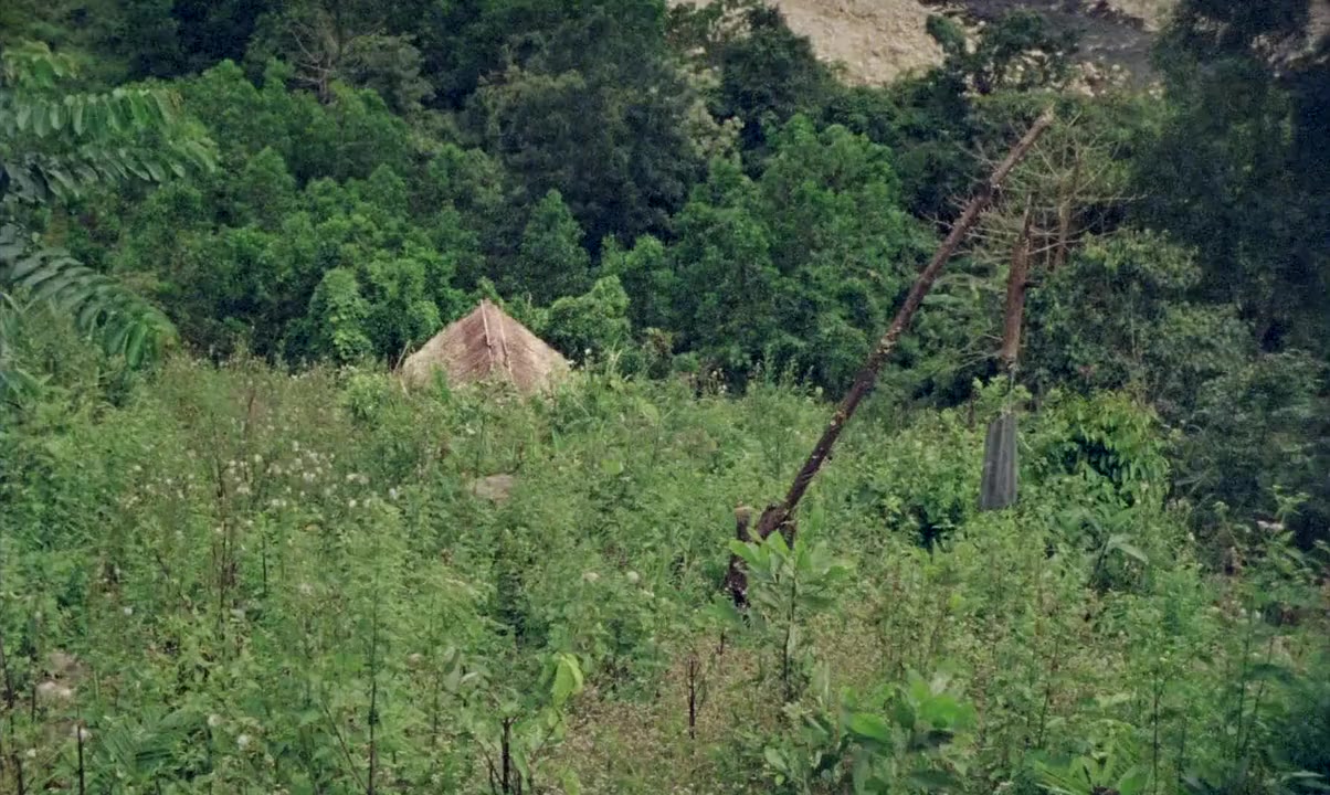 Treehouse screenshot 1