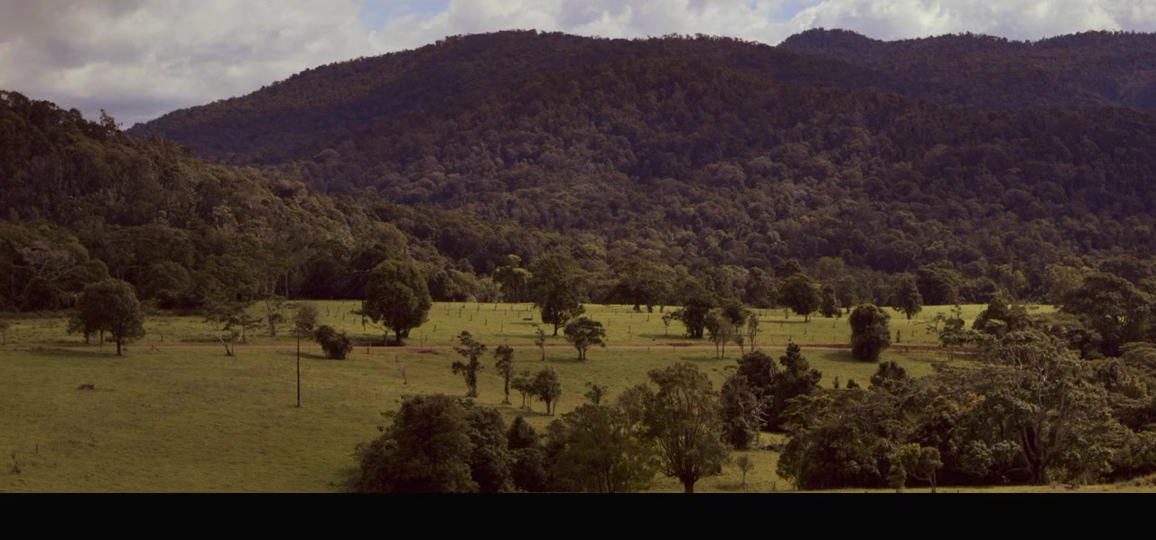 Into the Jungle screenshot 3