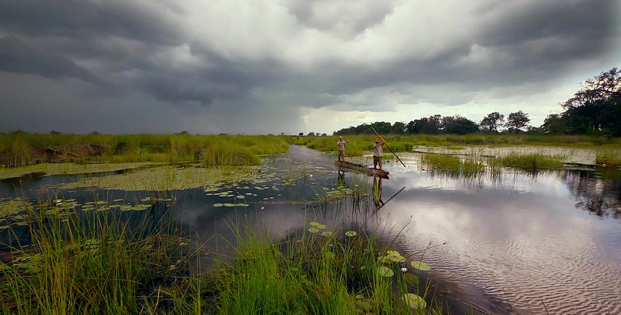 Into the Okavango screenshot 1