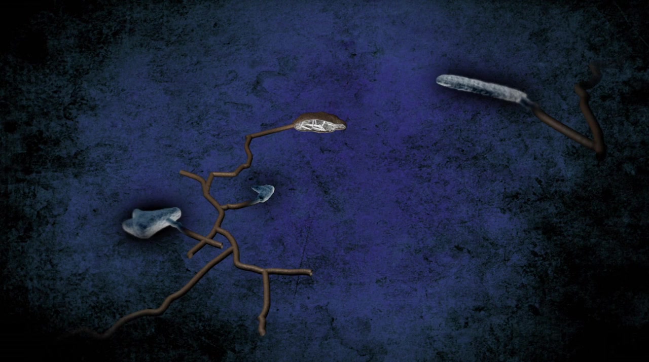 Into the Lost Crystal Caves screenshot 1