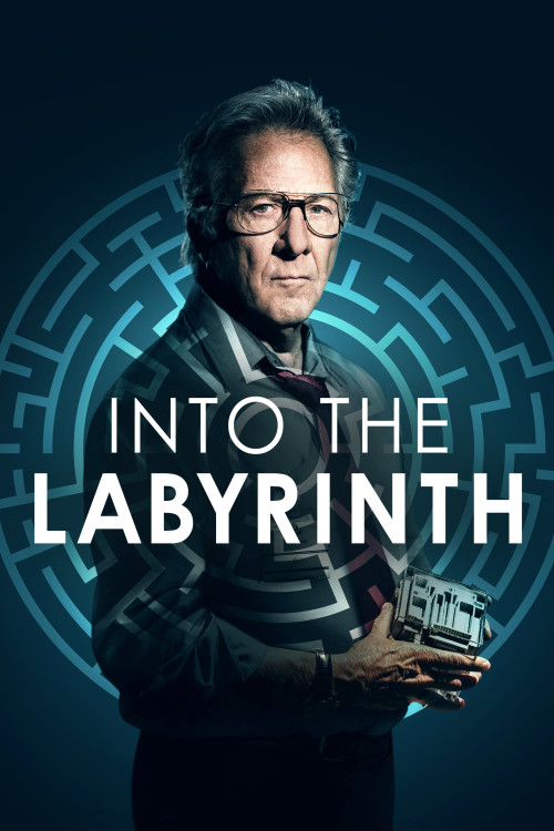 L'uomo del labirinto (2019) poster