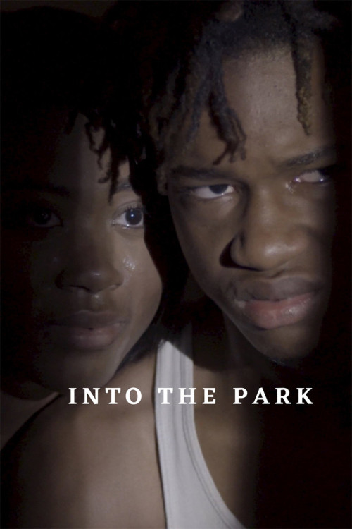 Into the Park (2022) poster
