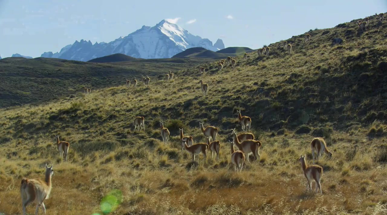 Into the Puma Triangle screenshot 1