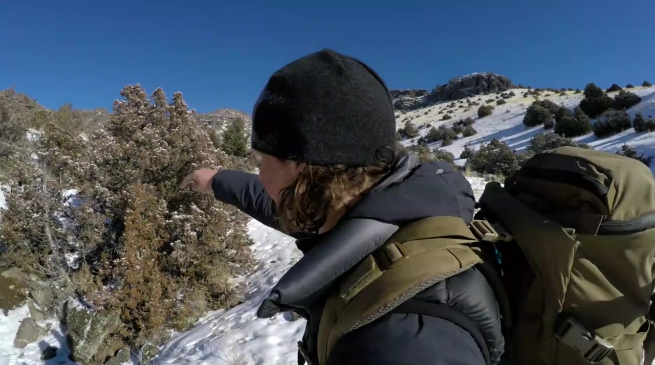 Into the Puma Triangle screenshot 3