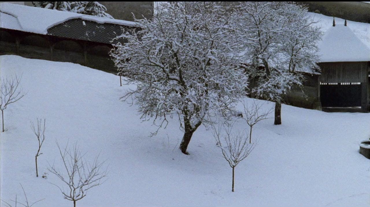 Die große Stille screenshot 1