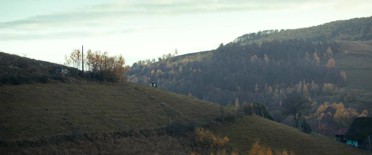 Întregalde screenshot 1