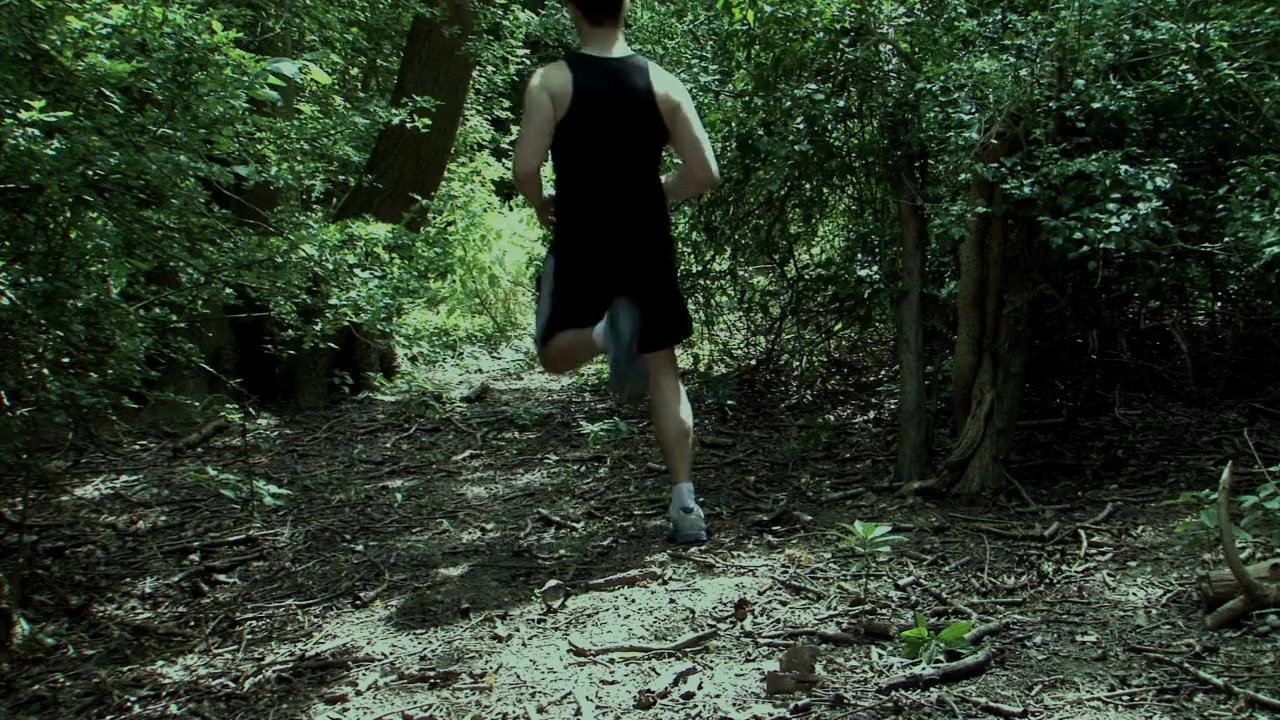 Intrusion screenshot 1