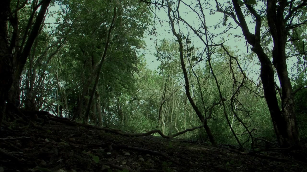 Intrusion screenshot 2