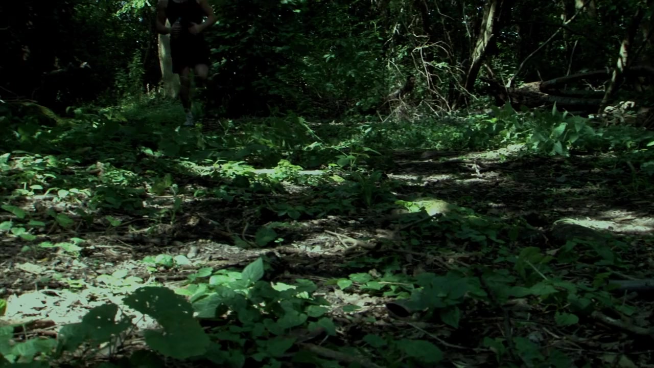 Intrusion screenshot 3