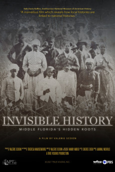 Invisible History: Middle Florida's Hidden Roots (2021) poster