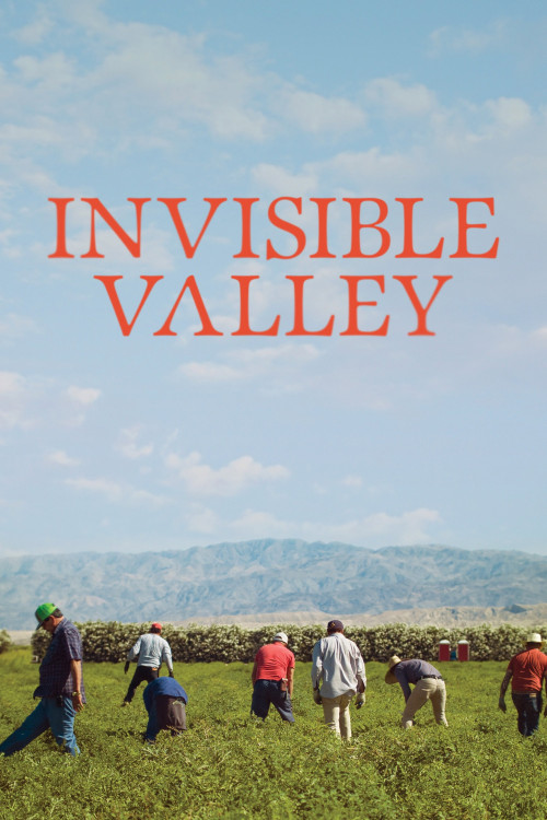 Invisible Valley (2021) poster