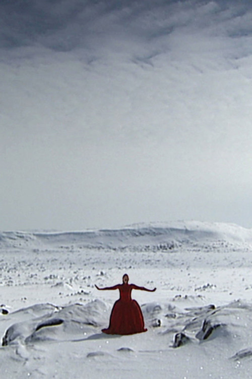 Invisible (2007) poster