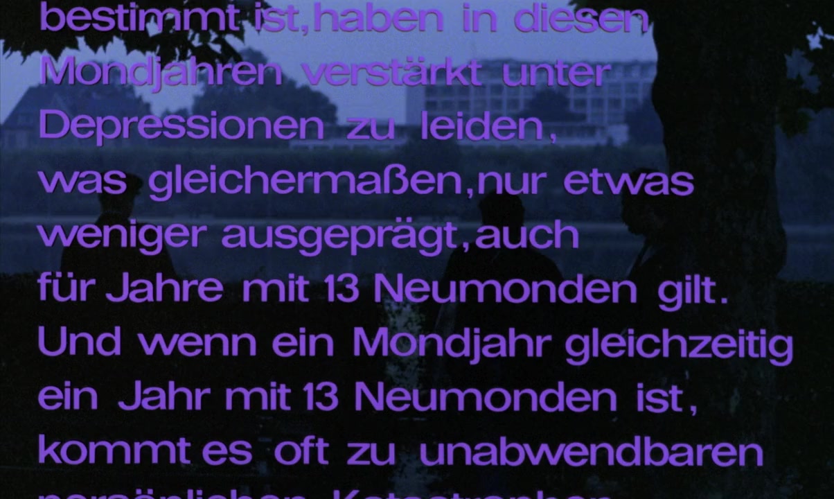 In einem Jahr mit 13 Monden screenshot 1