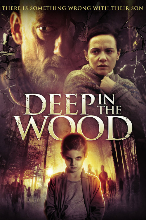 In fondo al bosco (2015) poster