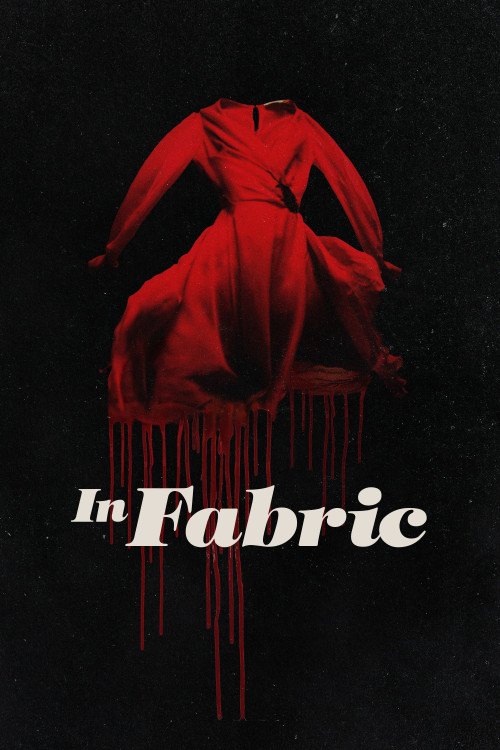 In Fabric (2018) poster